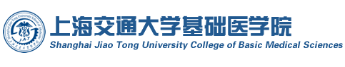 基础yl23411永利